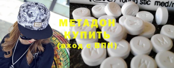 сатива Богданович