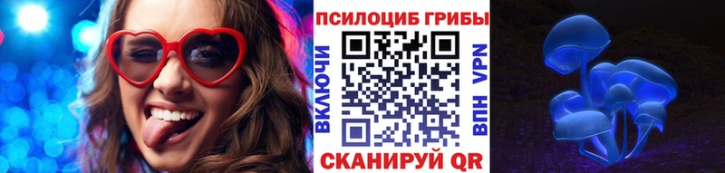 купить наркотики цена Мезень Галлюциногенные грибы мицелий